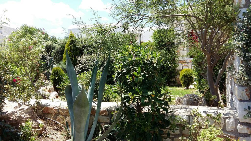 Villa Nafsika Paros Λογαράς Εξωτερικό φωτογραφία